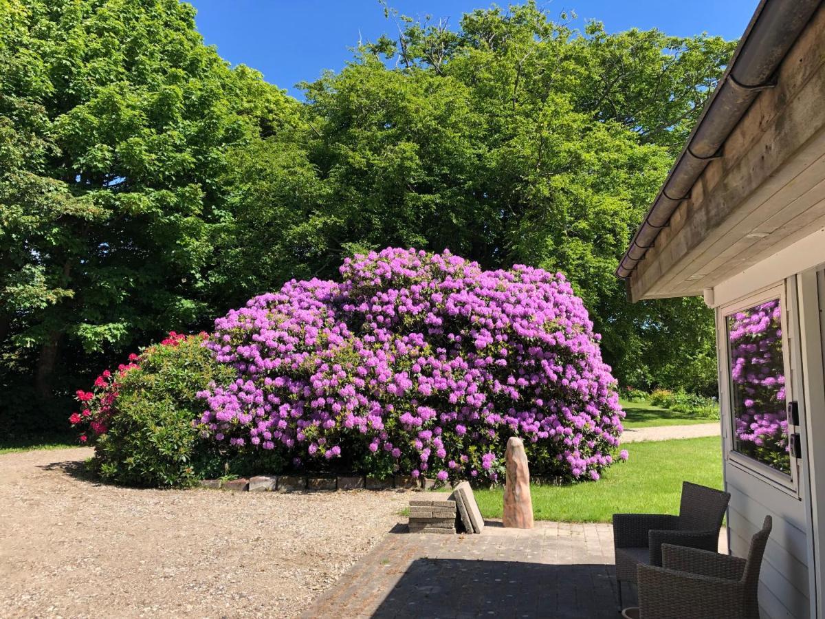 Landevejens B&B Holstebro Exterior photo